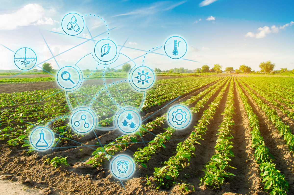 CREA per l’innovazione 2020: il centro Agricoltura e Ambiente punta sul digitale per l'agricoltura del futuro